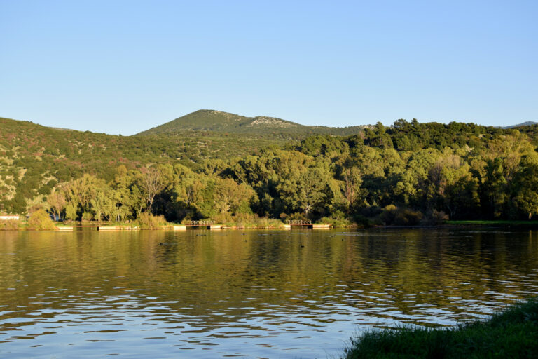 DSC_0048