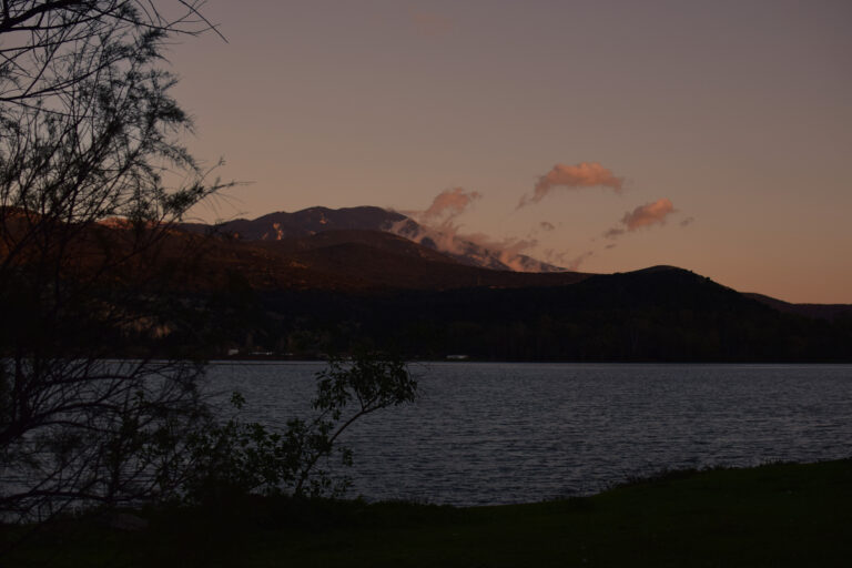 DSC_0087